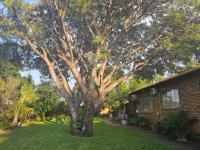 4 Bedroom 3 Bathroom House for Sale for sale in Safarituine