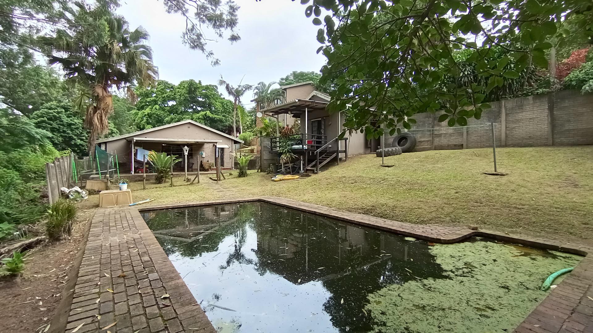 Backyard of property in Queensburgh