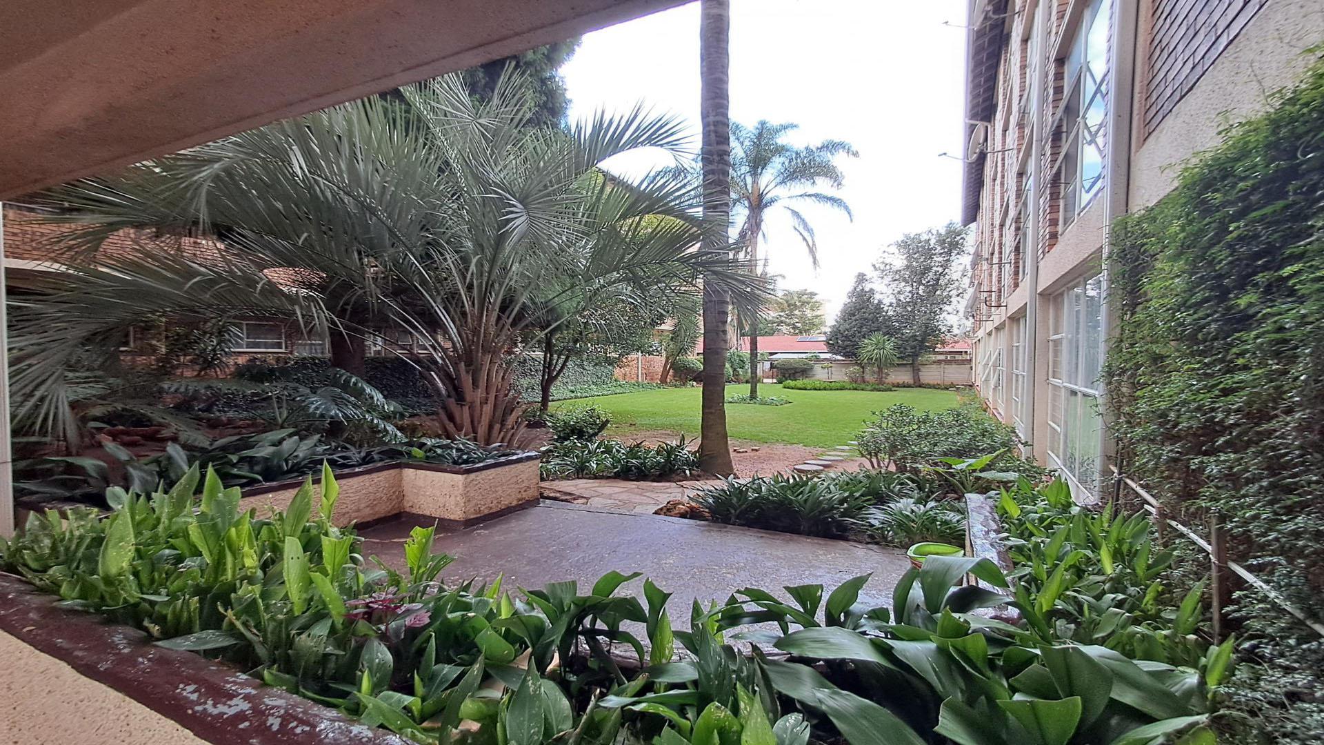 Backyard of property in Horison View