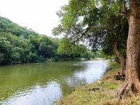  of property in Hoedspruit