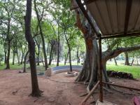  of property in Hoedspruit