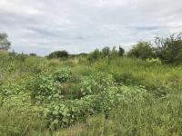  of property in Soshanguve