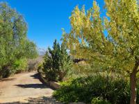 of property in Montagu