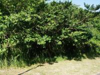  of property in Pennington