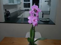  of property in Woodbridge Island