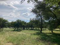  of property in Hoedspruit