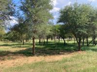  of property in Hoedspruit
