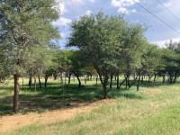  of property in Hoedspruit