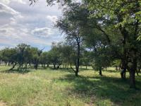  of property in Hoedspruit