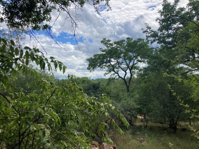 Land for Sale For Sale in Hoedspruit - MR671955