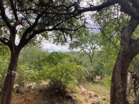  of property in Hoedspruit