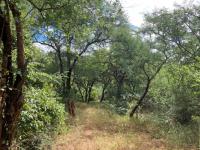  of property in Hoedspruit