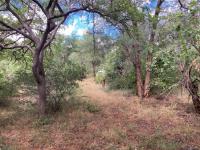  of property in Hoedspruit