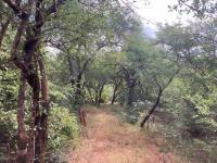  of property in Hoedspruit
