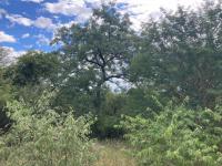  of property in Hoedspruit