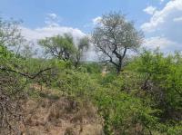 of property in Hoedspruit