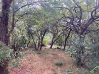  of property in Hoedspruit