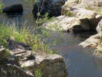  of property in Swellendam
