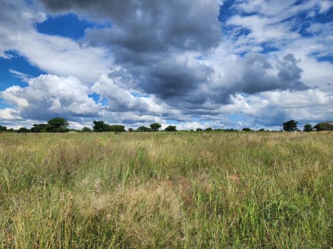Smallholding for Sale For Sale in Polokwane - MR672053
