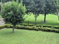  of property in Irene