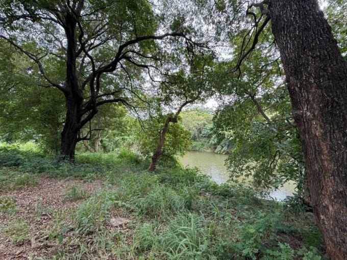 Land for Sale For Sale in Hoedspruit - MR672131
