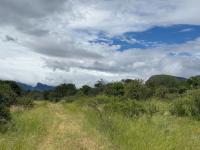  of property in Hoedspruit