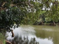  of property in Hoedspruit