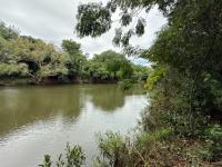  of property in Hoedspruit