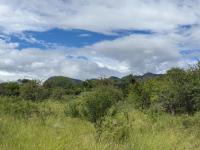  of property in Hoedspruit
