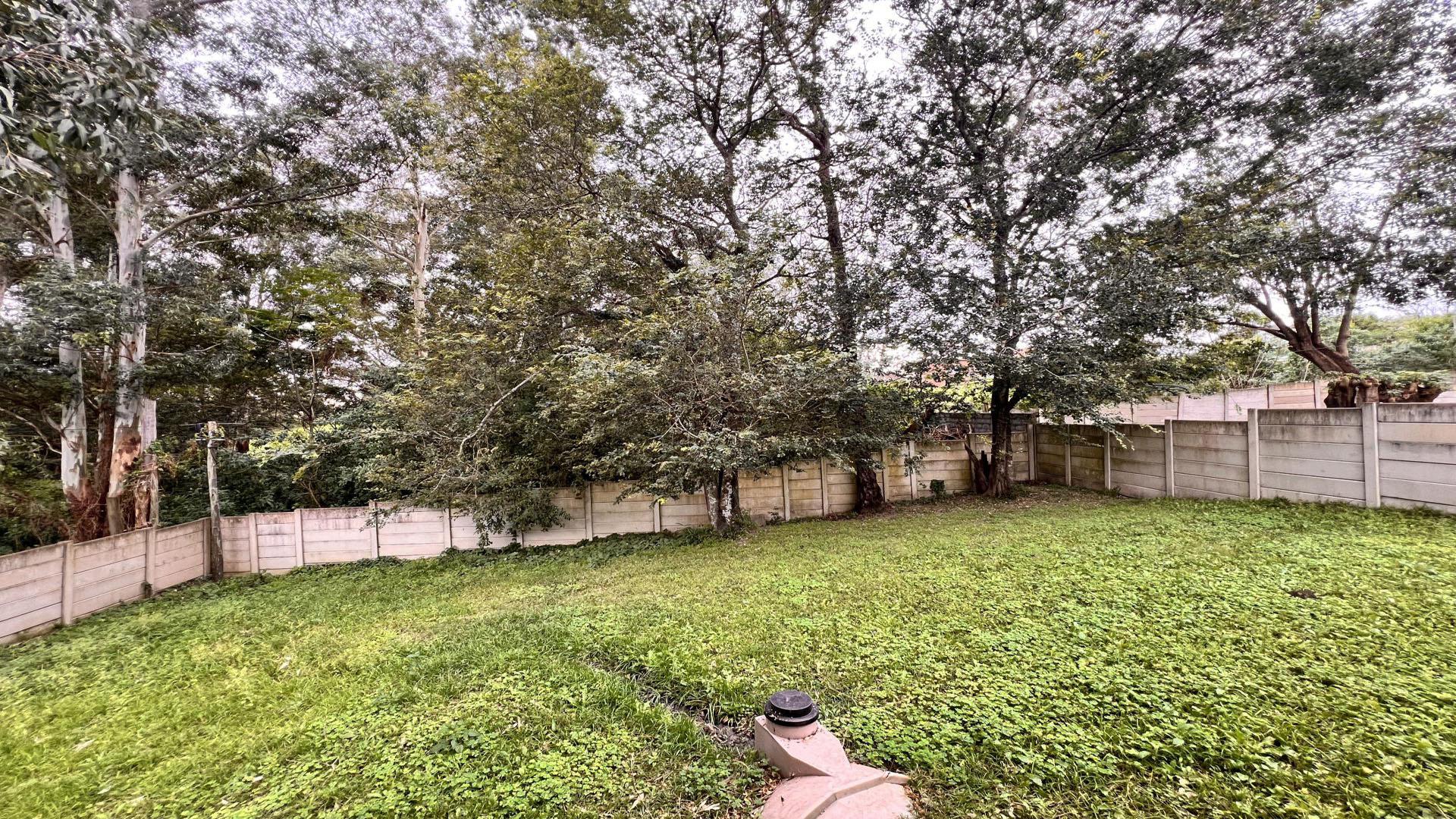 Backyard of property in East London