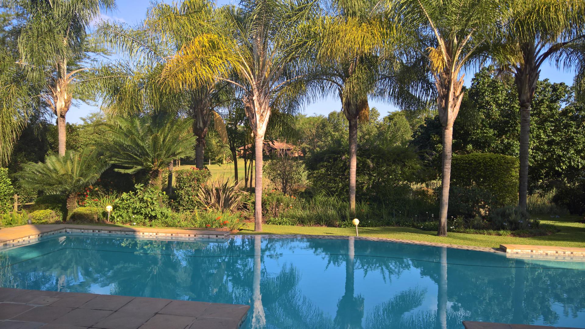 Backyard of property in Nelspruit Central