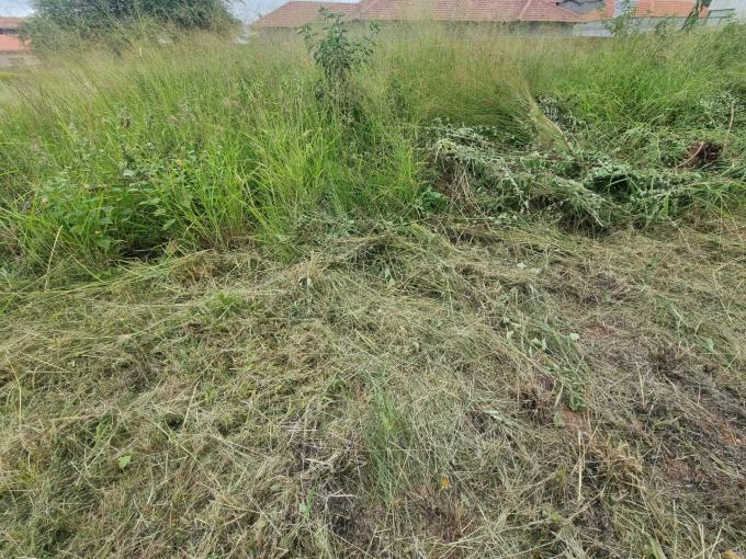 Land for Sale For Sale in Bendor - MR672275