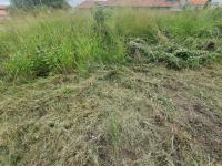 Land for Sale for sale in Bendor