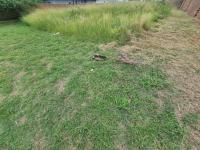  of property in Bendor