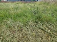  of property in Bendor