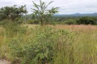  of property in Bendor
