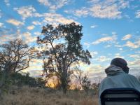  of property in Hoedspruit