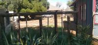 Backyard of property in Kakamas
