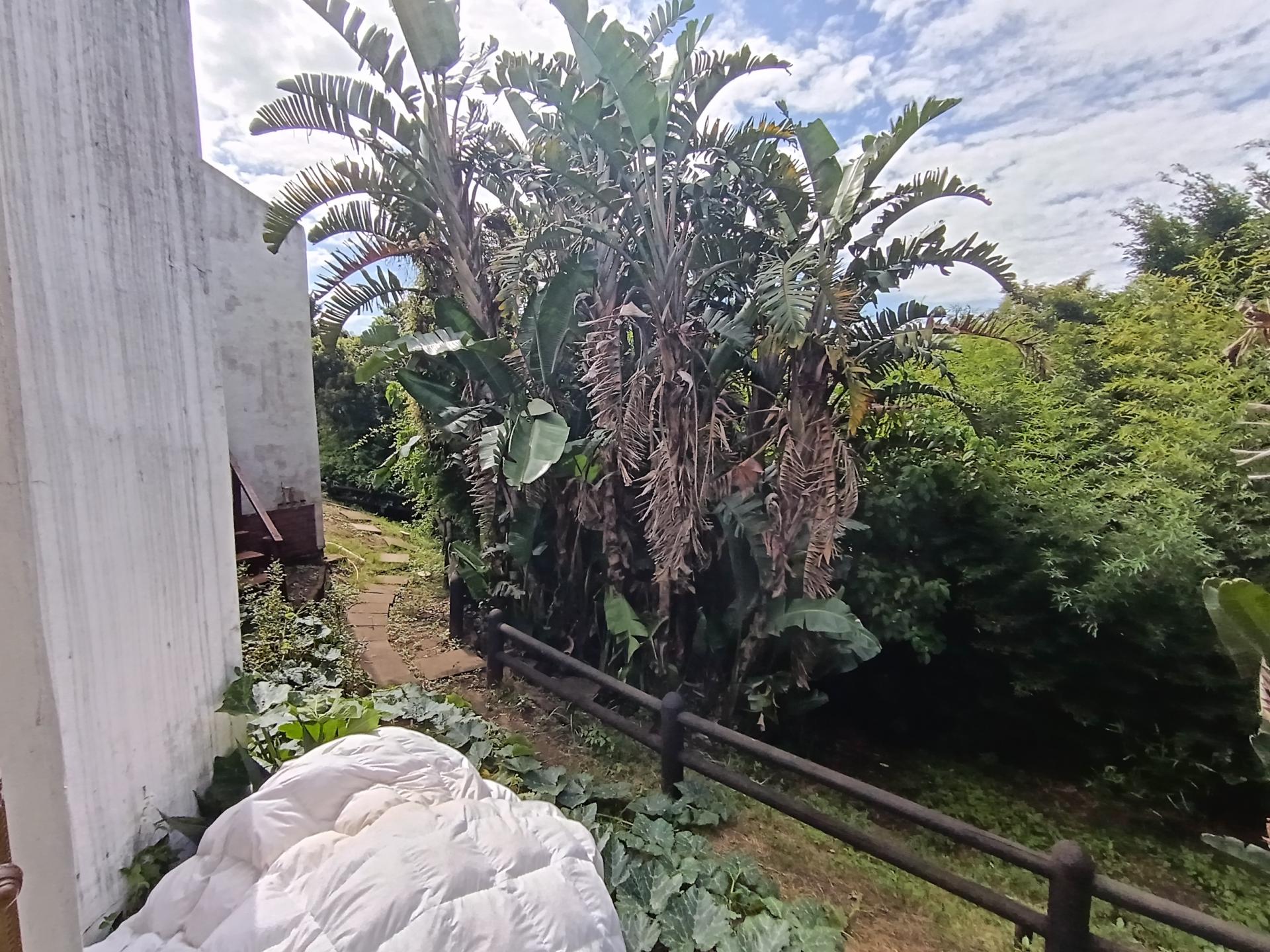 Backyard of property in Vincent Heights