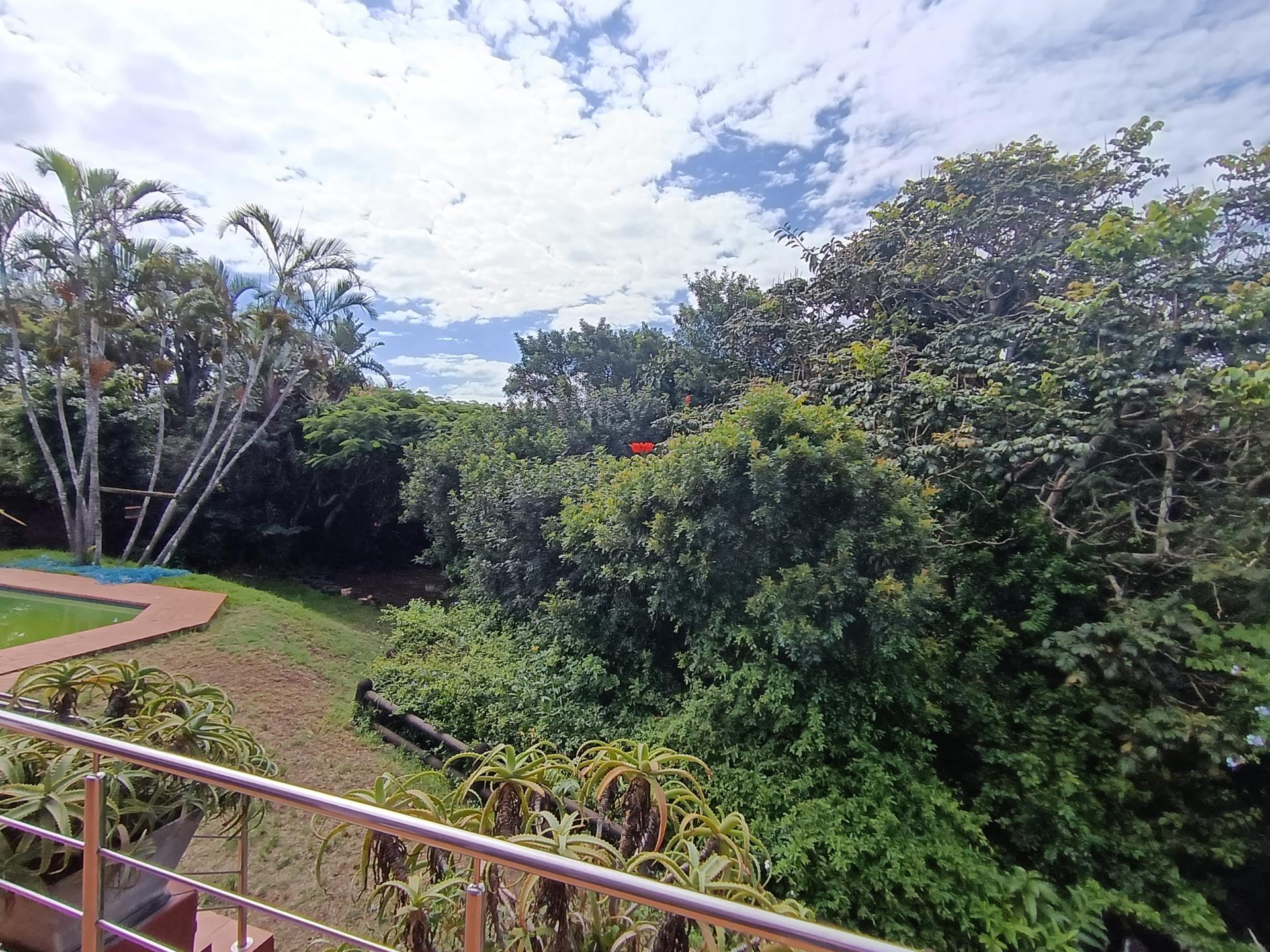 Backyard of property in Vincent Heights