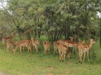  of property in Pebble Rock