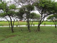  of property in Pebble Rock