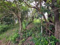  of property in Shelly Beach