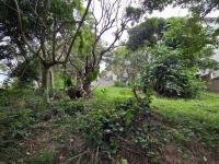  of property in Shelly Beach