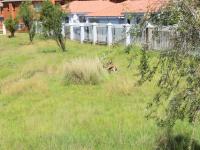  of property in Helderwyk Estate