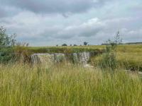 Farm for Sale for sale in Middelburg - MP
