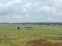  of property in Middelburg - MP