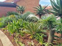 of property in Willow Park Manor