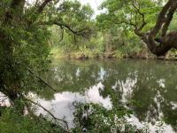  of property in Hoedspruit
