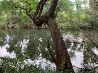  of property in Hoedspruit